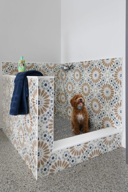 Photo of the dog shower which was part of the home design project